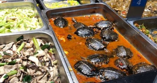 高校食堂黑暗料理又走红了,这次是新花样,学生表示惹不起!