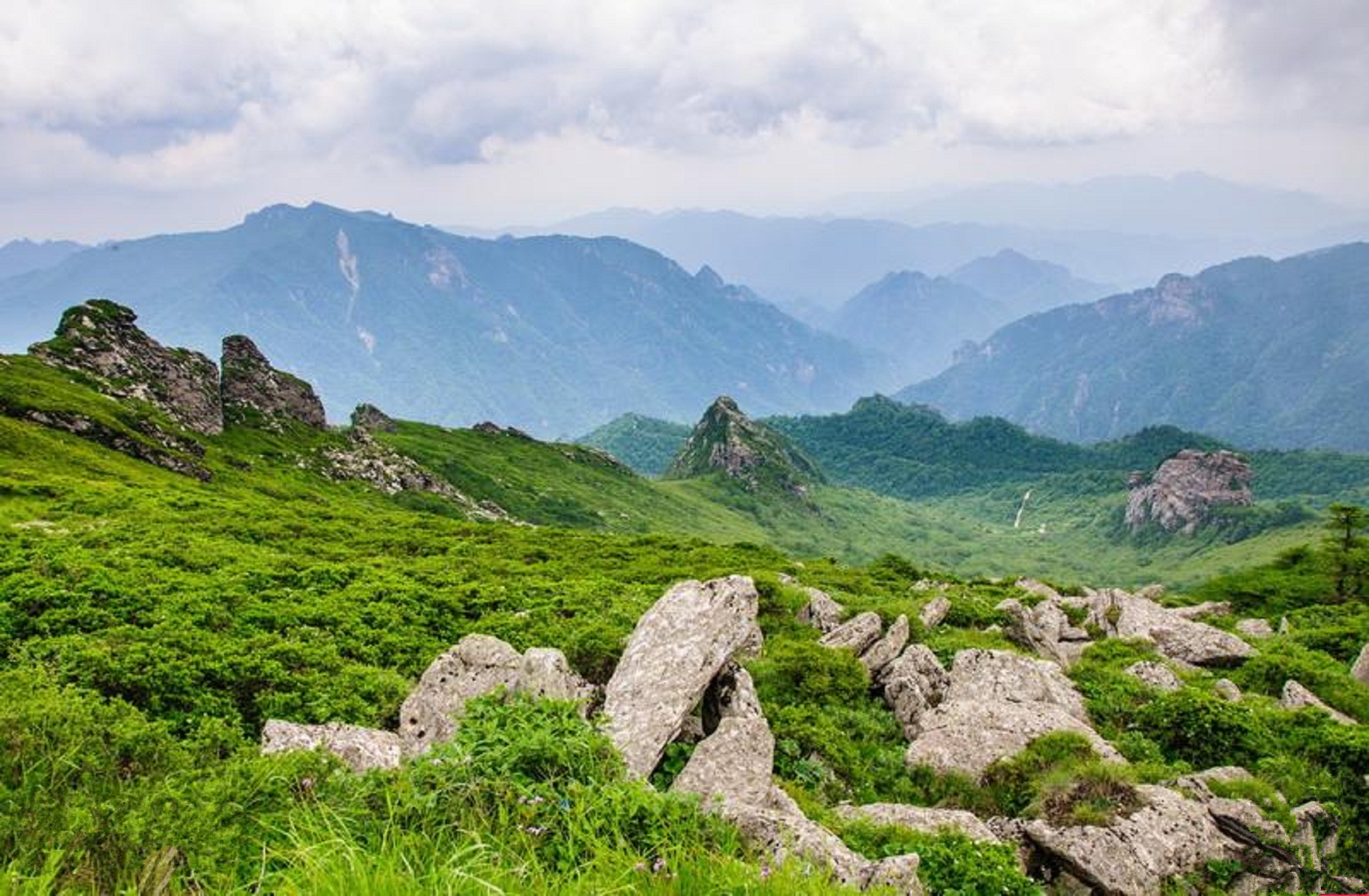 光头山,秦岭里的"香格里拉",陕西户外驴友称其为"强驴"之路_高清图集