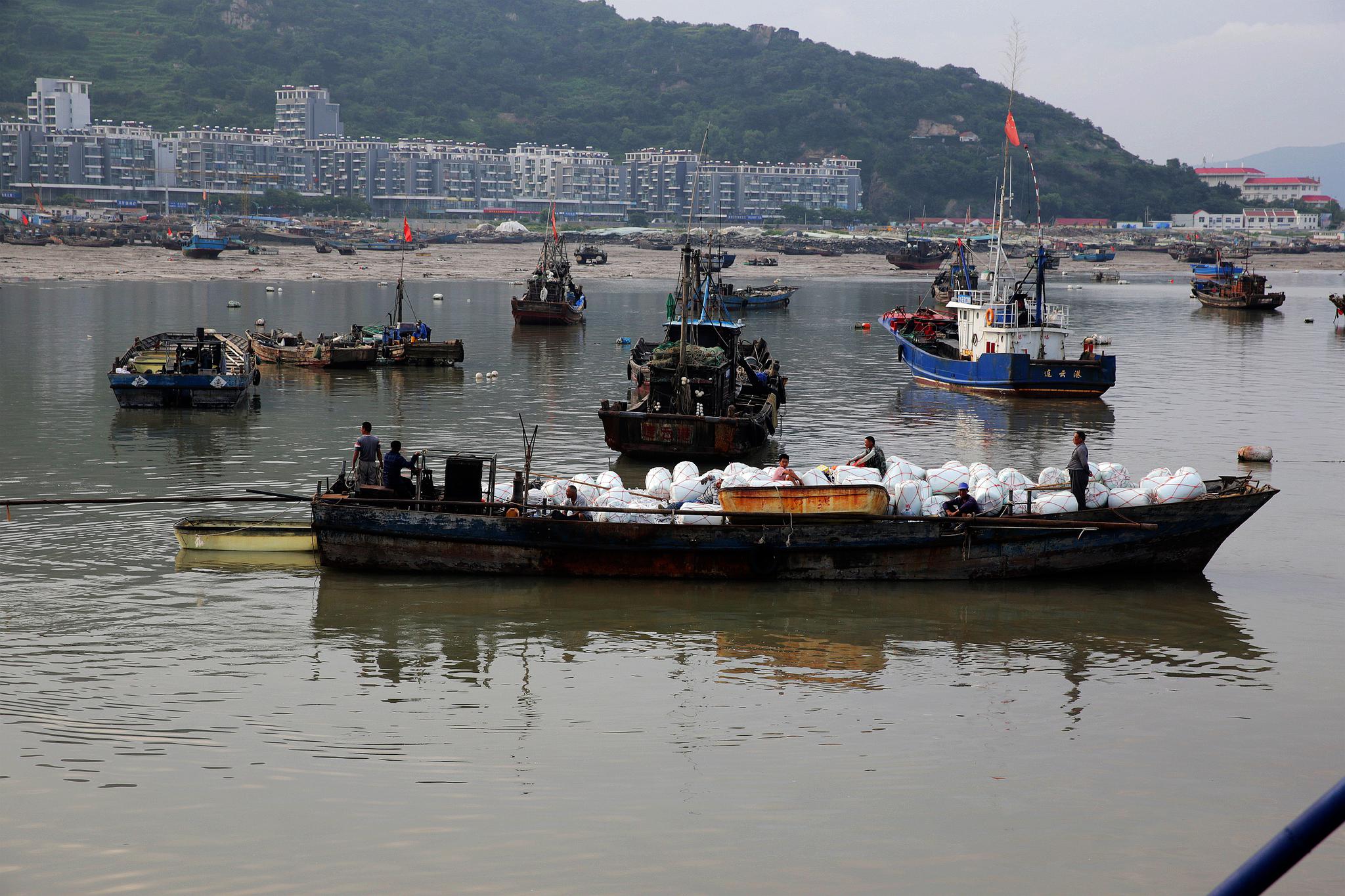 繁忙的渔港 辛劳的渔民--连云港市连云区连岛街道沙湾渔村见闻