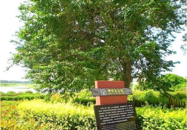 亲水时节仲夏之约九龙口自驾游嗨翻一夏