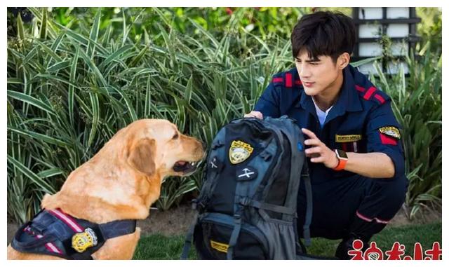 小时代南湘席城今年好事连连郭碧婷订婚了姜潮也快当爹了