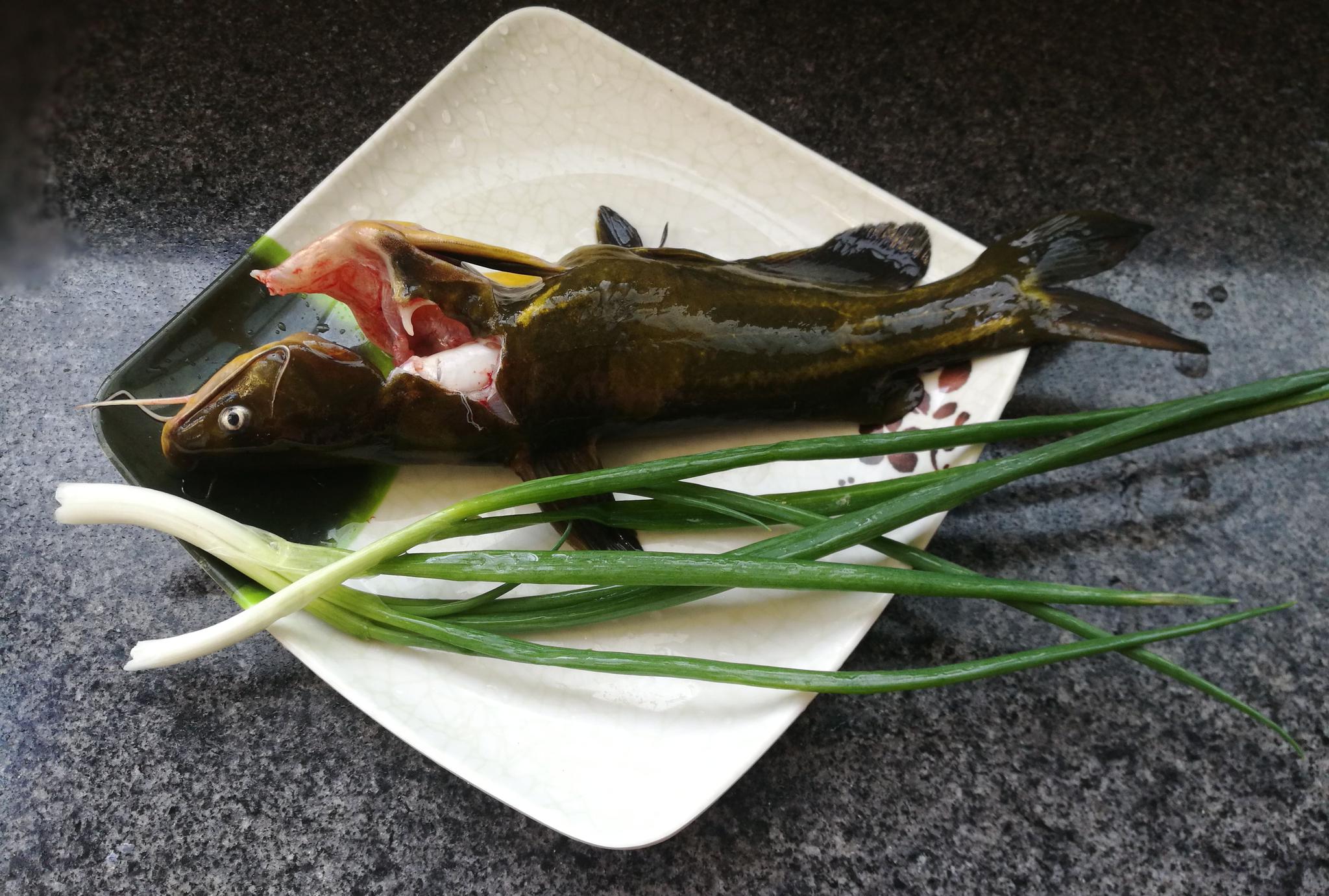 蒸昂刺鱼—适合宝宝吃的鱼