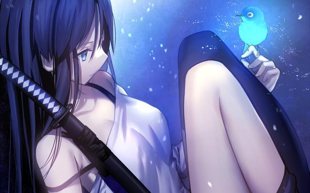 她是fate里有名的妈妈型英灵,又好看又好用,评价却两极分化