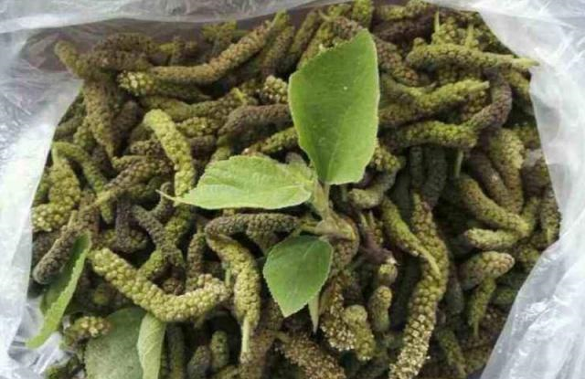 这种野菜长得很像毛毛虫,农民拿它蒸着吃,其实它明目利尿价值高