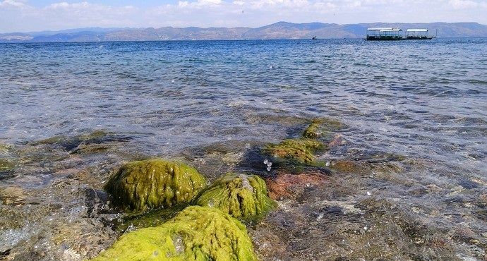 抚仙湖是中国最大的深水型淡水湖泊，珠江源头第一大湖