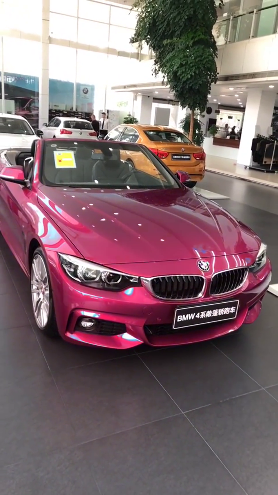 宝马变色龙系列,真的能变色!