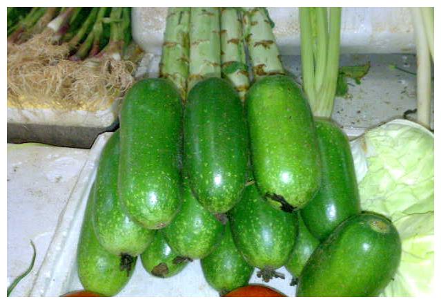 节瓜的功效与作用及食用方法,节瓜怎么吃才健康