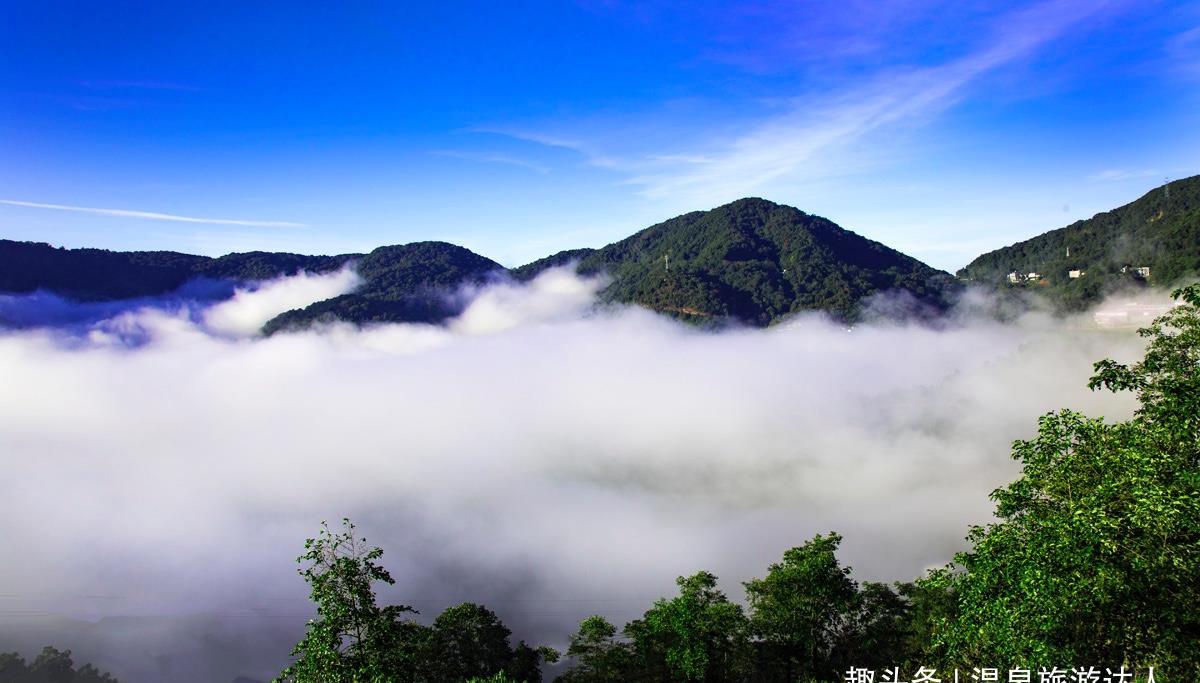 大理无量山灿若云霞的冬樱绽放将整片山谷装点缀得如诗如画