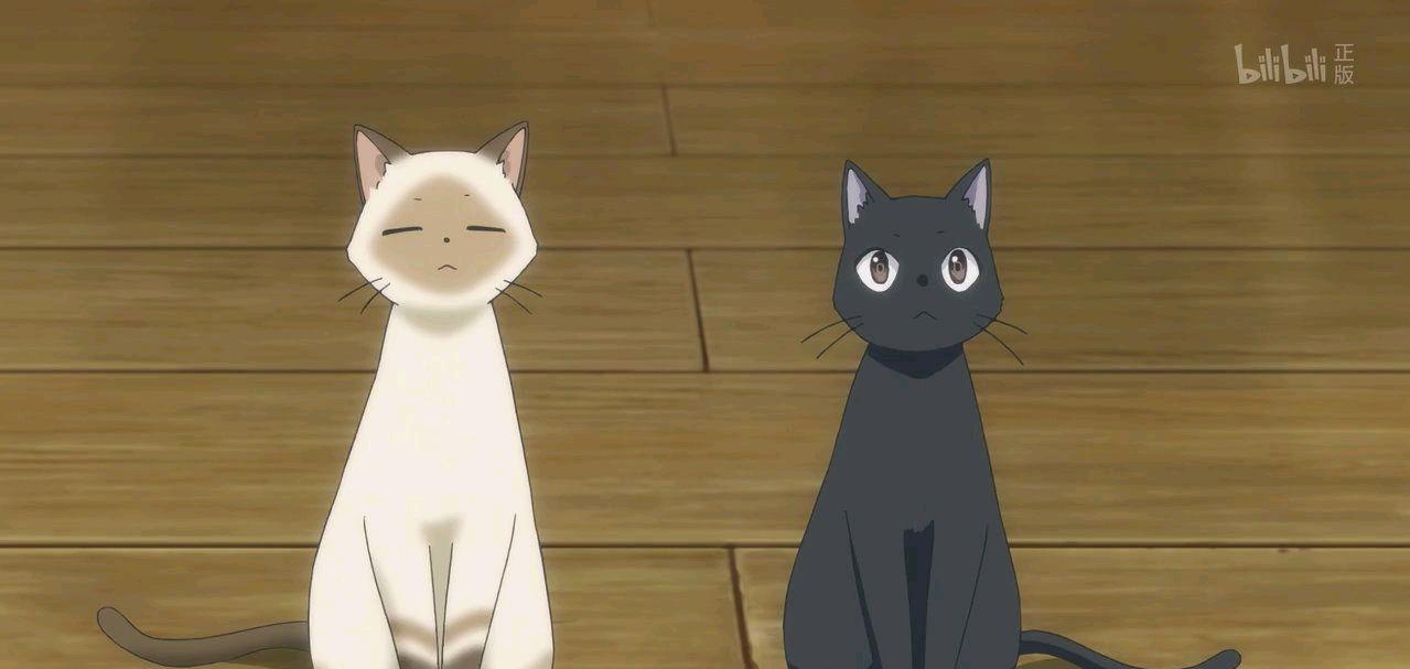 飞翔的魔女:魔女和黑猫的田园历练,真的非常治愈