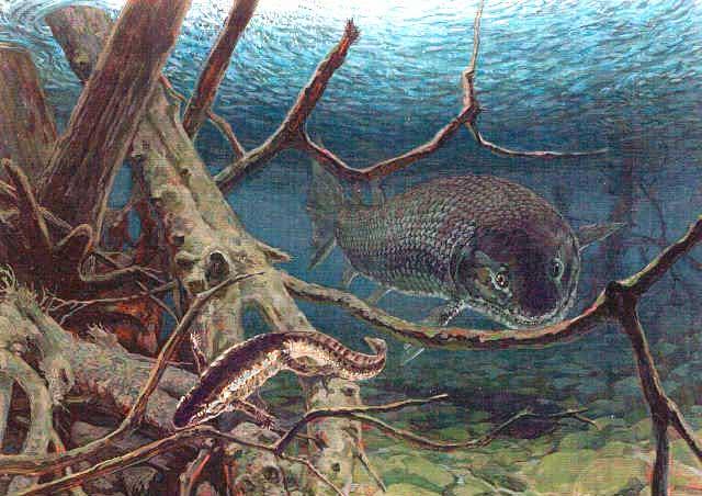 远古时期巨兽含肺鱼,体长8米,以鲨鱼为食