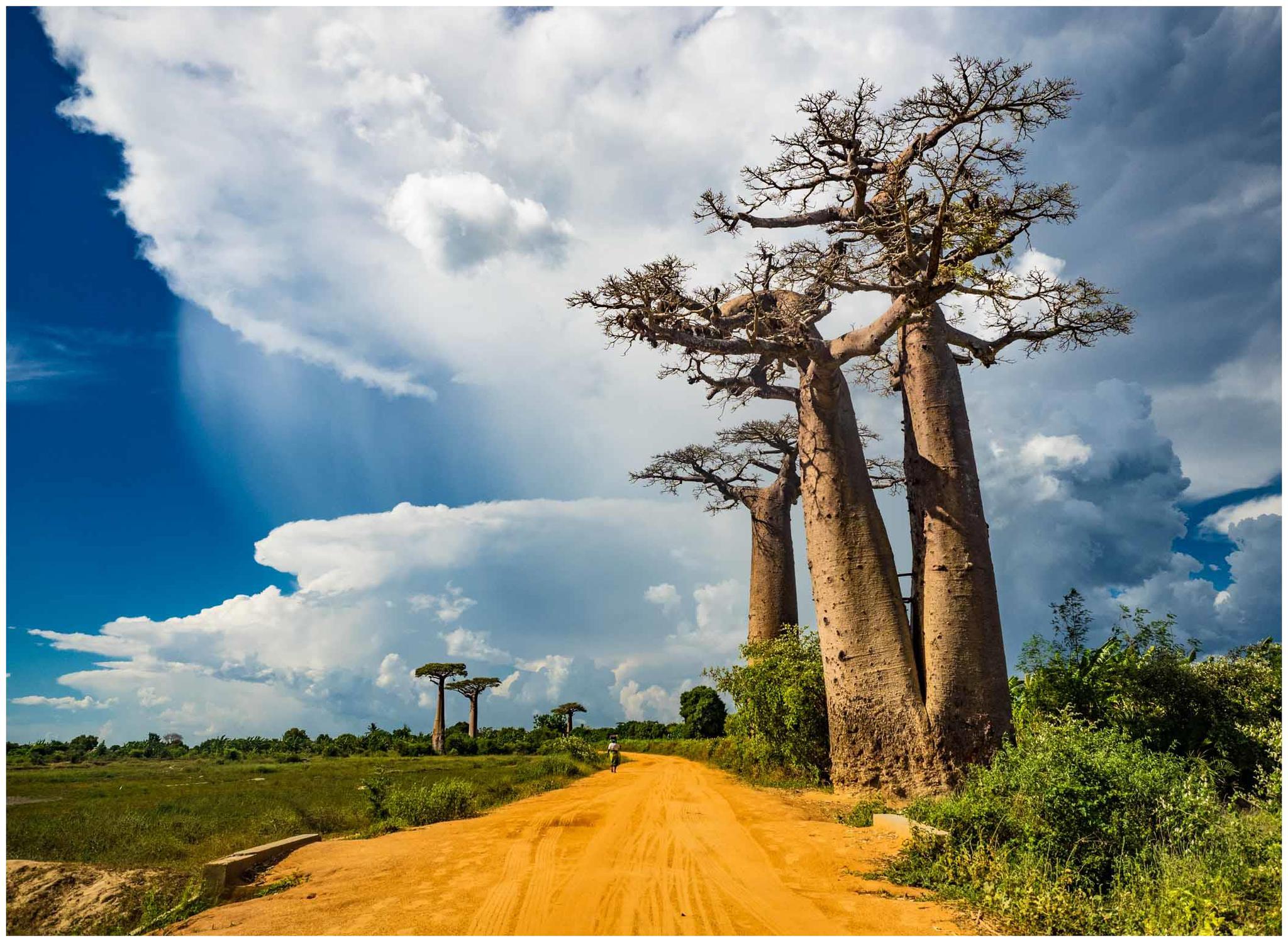 全球第一个岛屿:至少8000万年前就已形成,被一国独占却极度贫穷