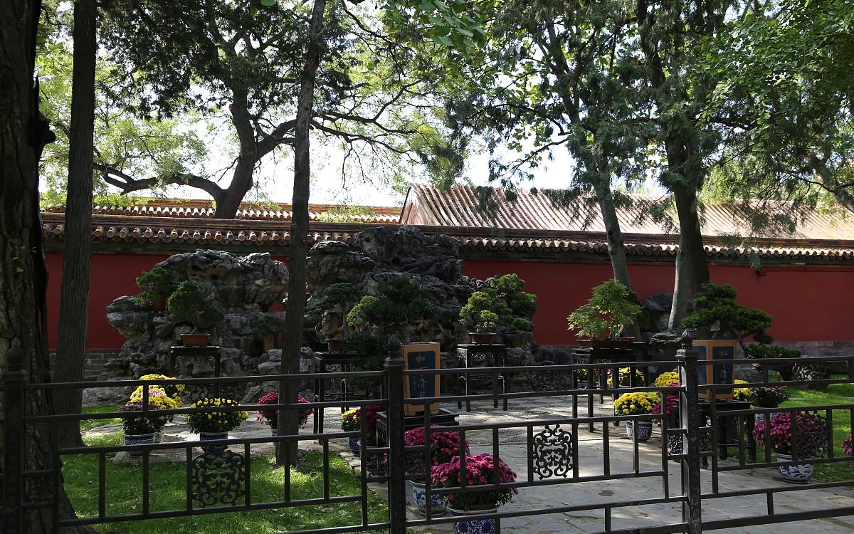 慈宁宫花园那么好慈禧为什么没有住在慈宁宫