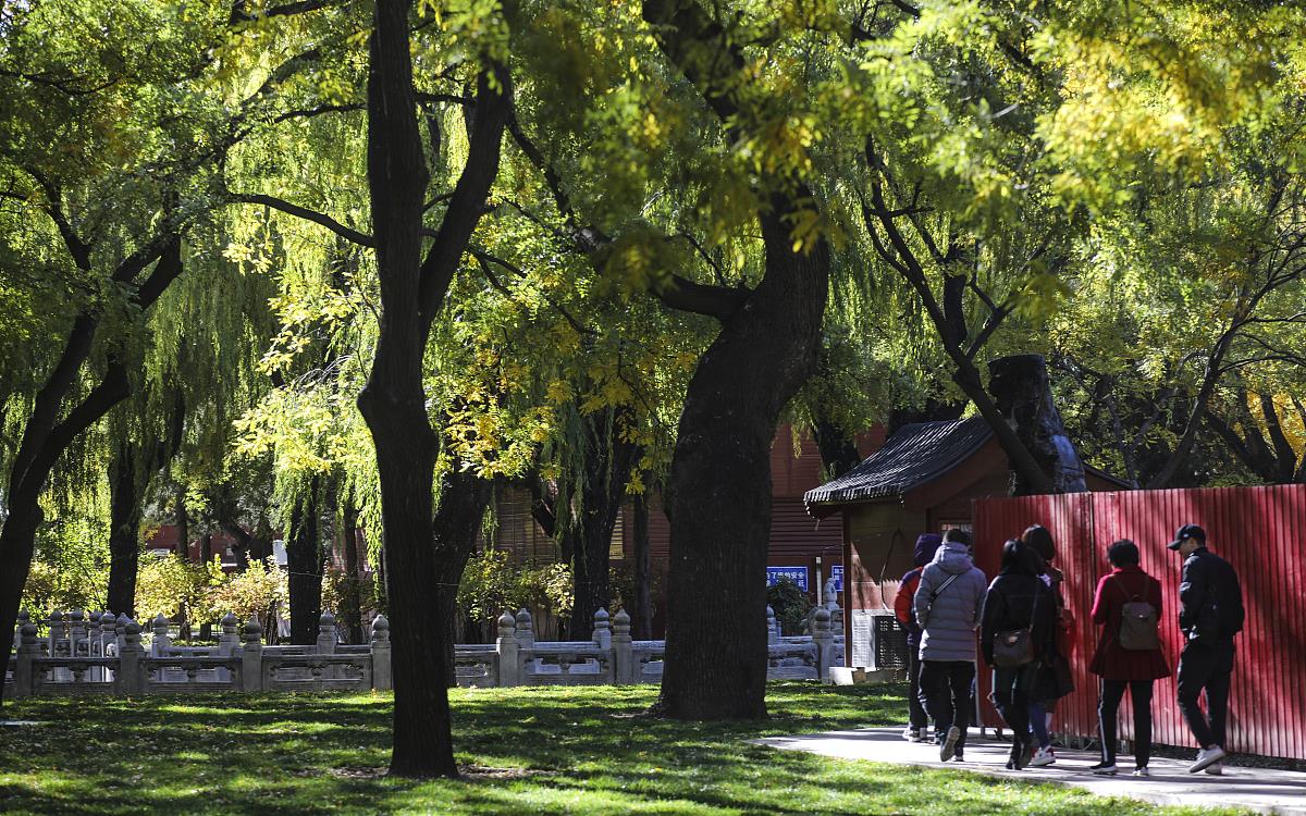 慈宁宫花园那么好慈禧为什么没有住在慈宁宫