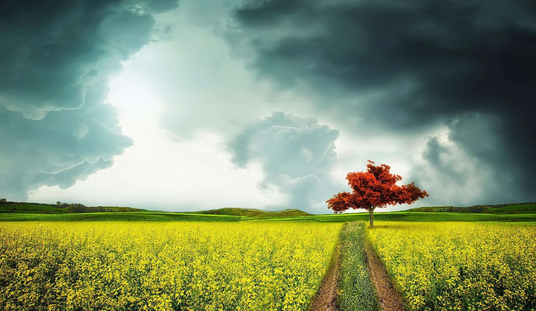 摄影技巧:一棵树,如何拍摄出一千种文艺范?