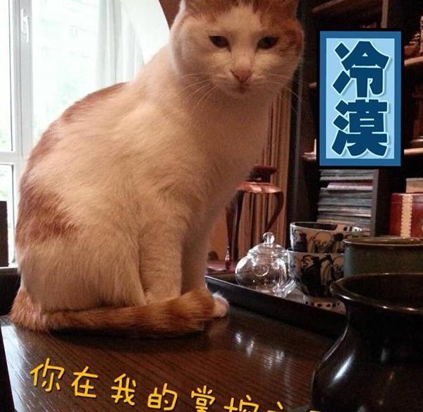 晒晒李静如今住的房子,女儿卧室像个杂物房,家里有点太凌乱了吧