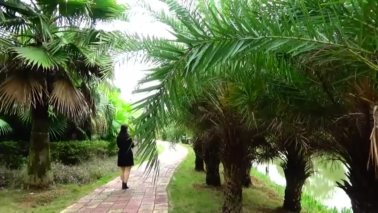 看过最有韵味的基宗巴舞柔情的舞姿令人百看不厌