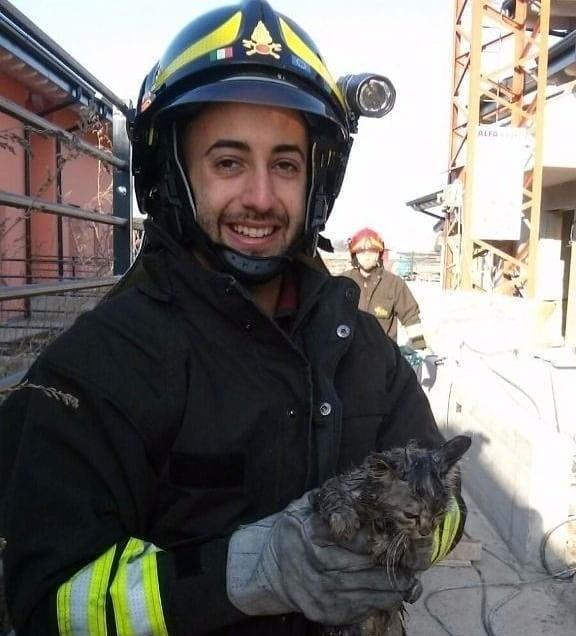 猫:哎哟妈呀,吓死朕了.幸好你们来得及时,给你们消防员点个赞!