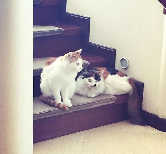 晒晒李静如今住的房子,女儿卧室像个杂物房,家里有点太凌乱了吧