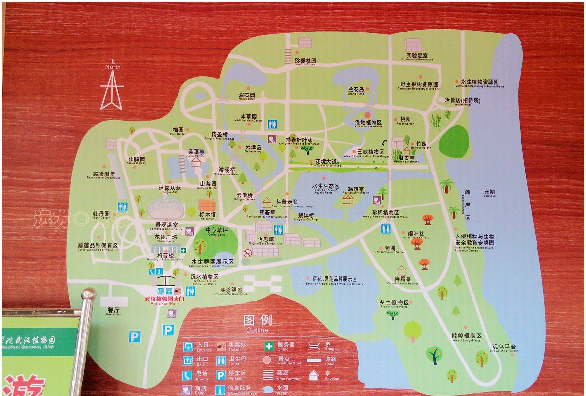 武汉植物园导游图图片