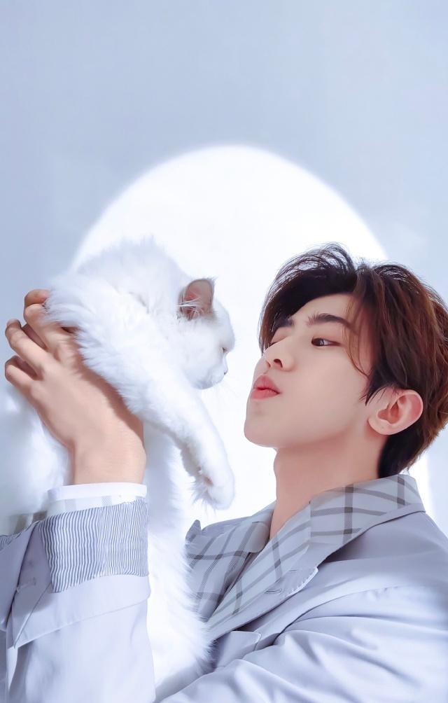 蔡徐坤品牌新图被猫咪埋胸 今天也是恰柠檬的一天!