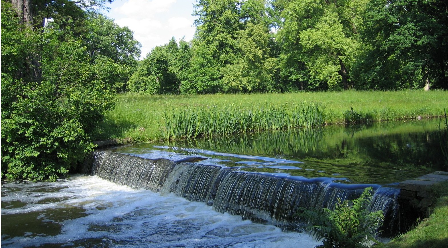 春天溪流的拍摄方法