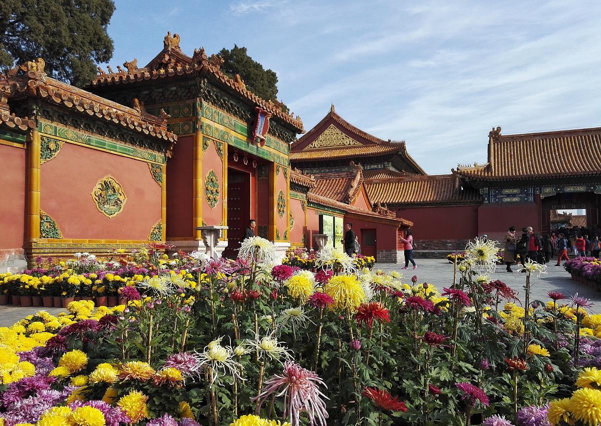 慈宁宫花园那么好慈禧为什么没有住在慈宁宫