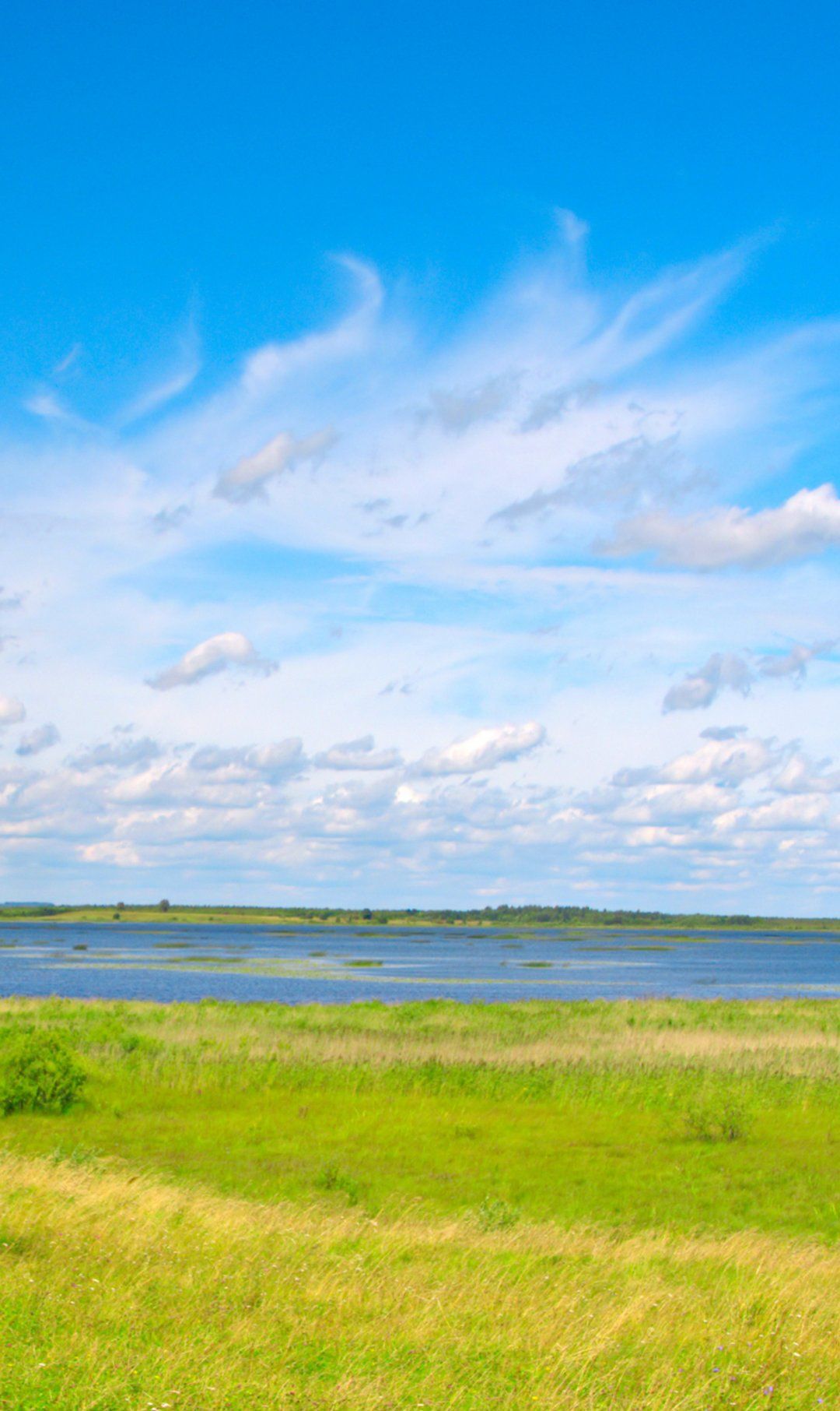 一组护眼壁纸,喜欢点赞关注吧.|护眼|壁纸_新浪新闻