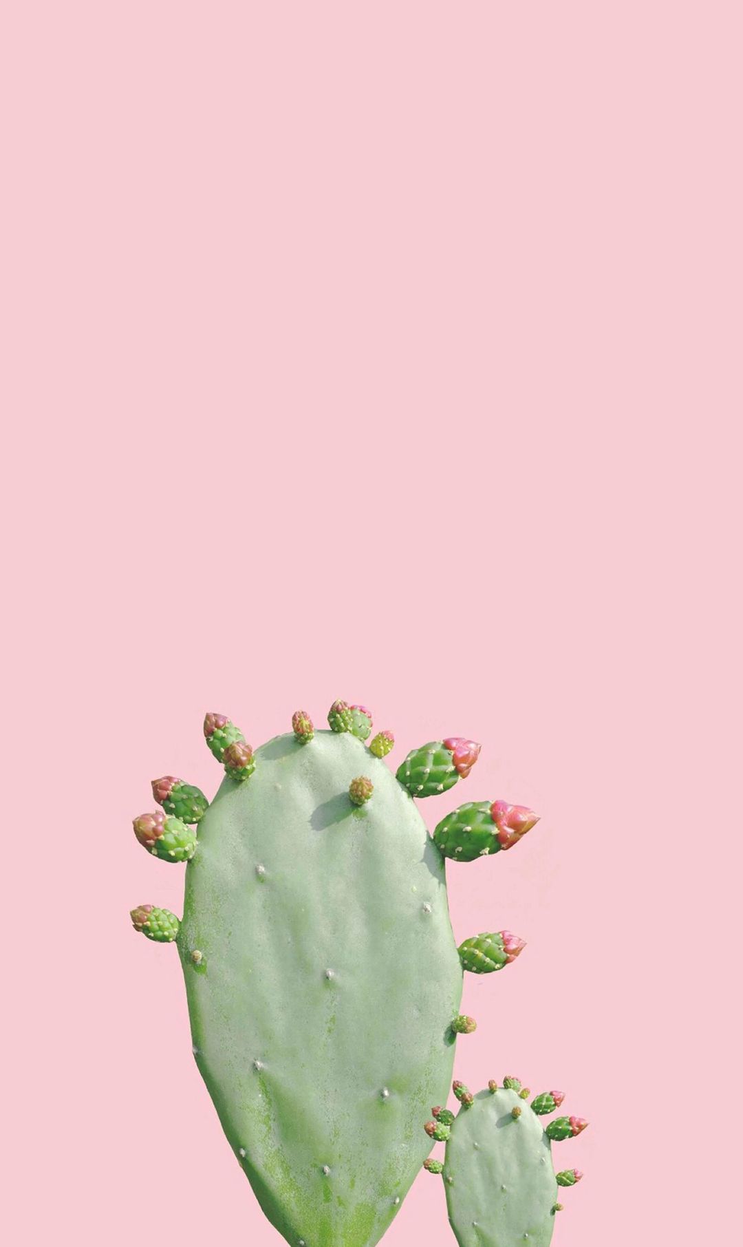 夏天唯美图片高清手机壁纸分辨率1080x1920