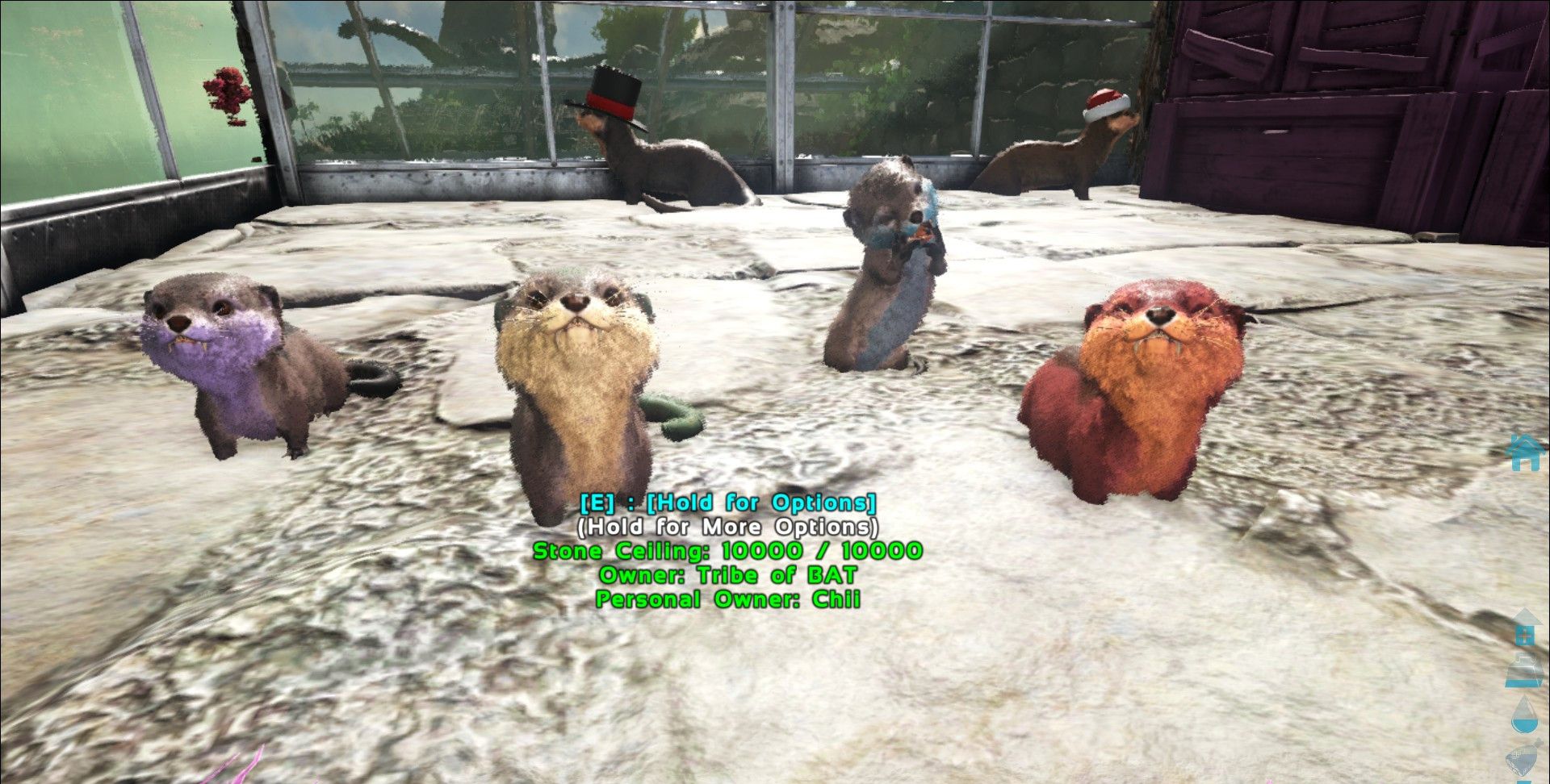 《方舟:生存进化》水獭萌照欣赏 萌你一脸血