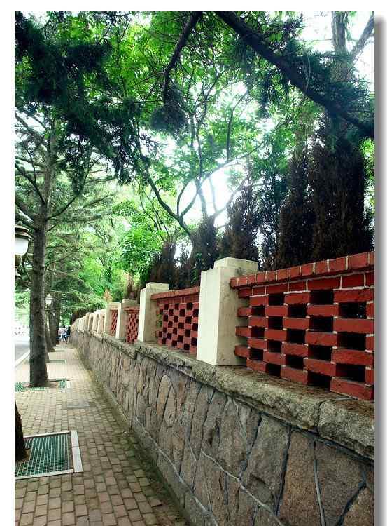 游记:山东青岛八大关