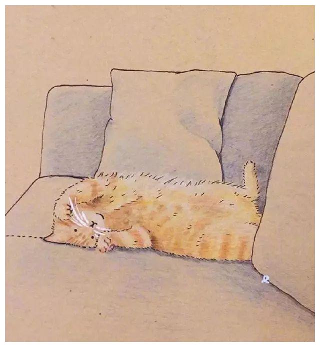 马塞尔·莫斯笔下的猫,小眼好可爱