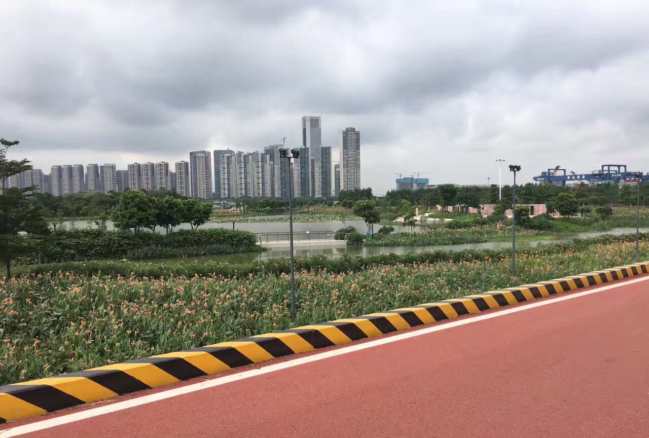 佛山东平河绿道!美丽动人_高清图集_新浪网
