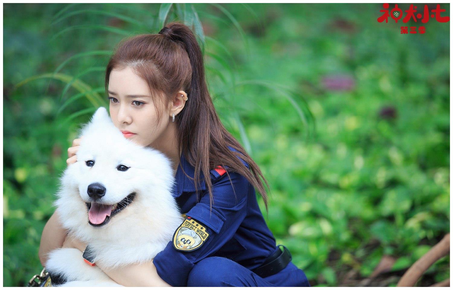 宋妍霏《神犬小七3》进阶"搜救精英" 完美嫁接"硬糖印象"