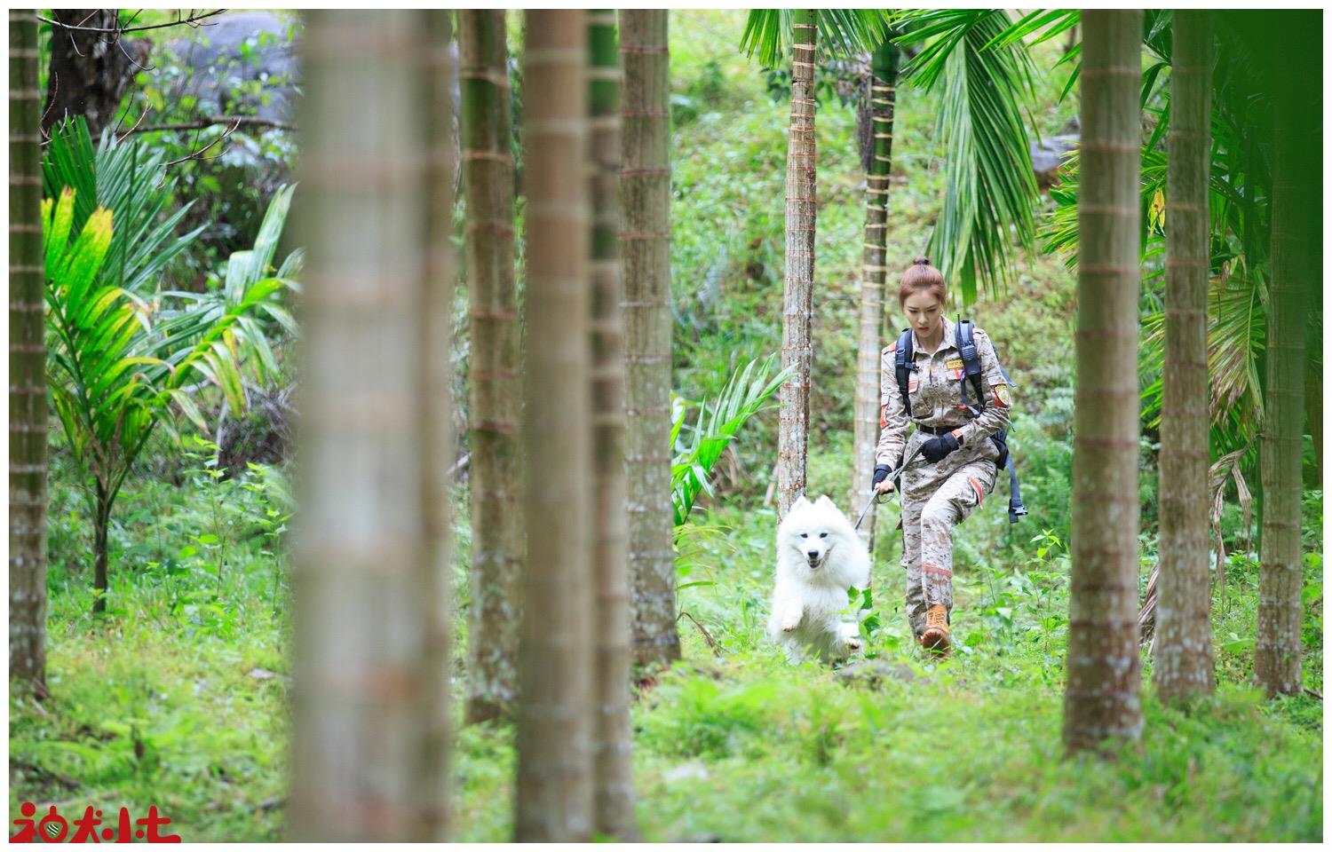 宋妍霏《神犬小七3》高燃进阶 硬核输出爱与温暖