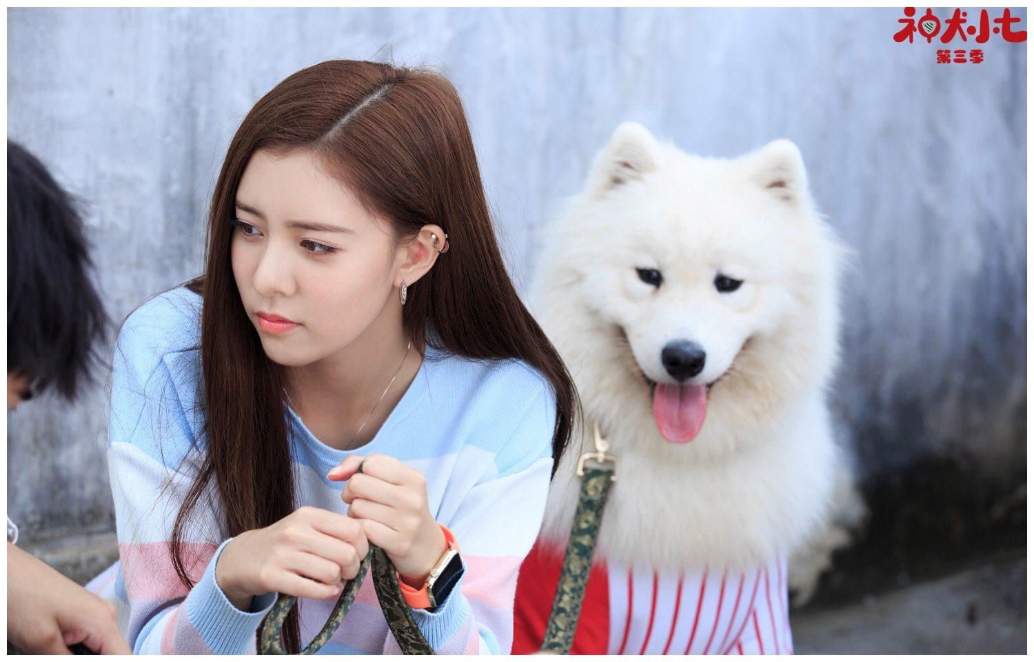 宋妍霏神犬小七3进阶搜救精英完美嫁接硬糖印象