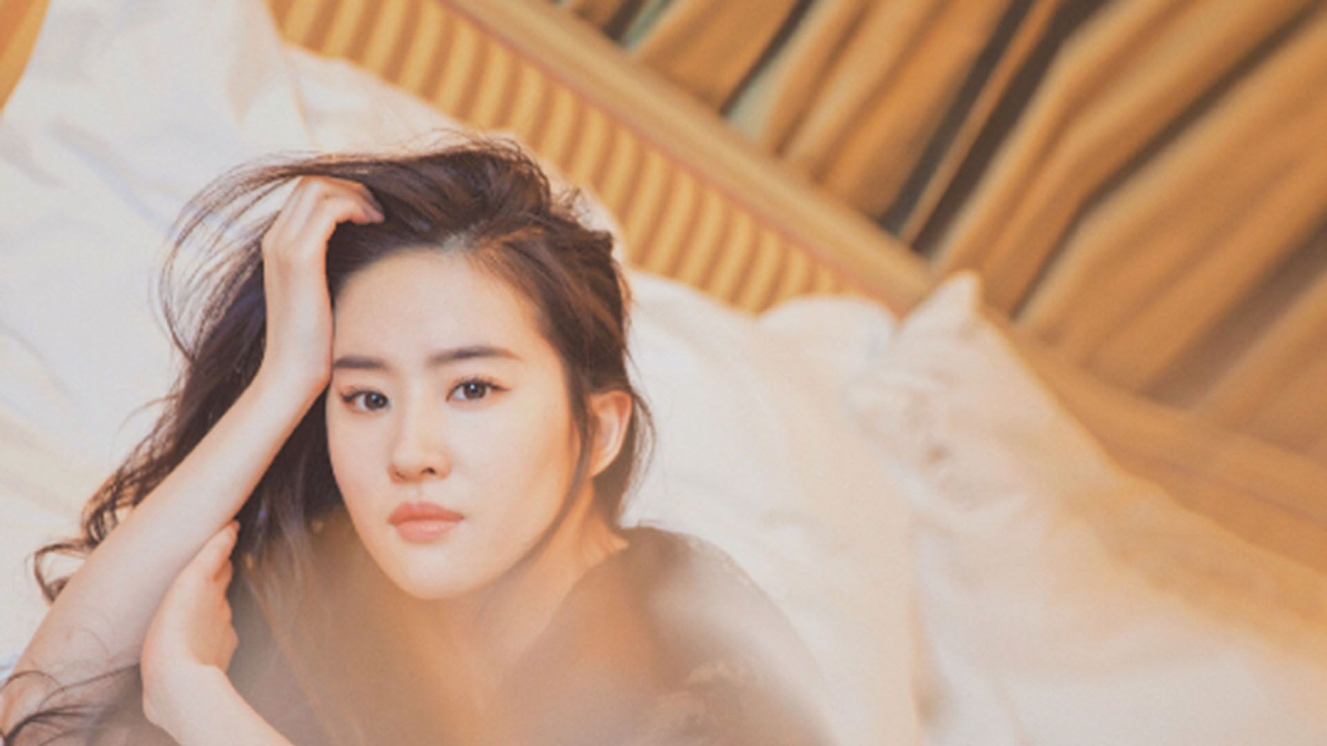 明星美图秀--刘亦菲005