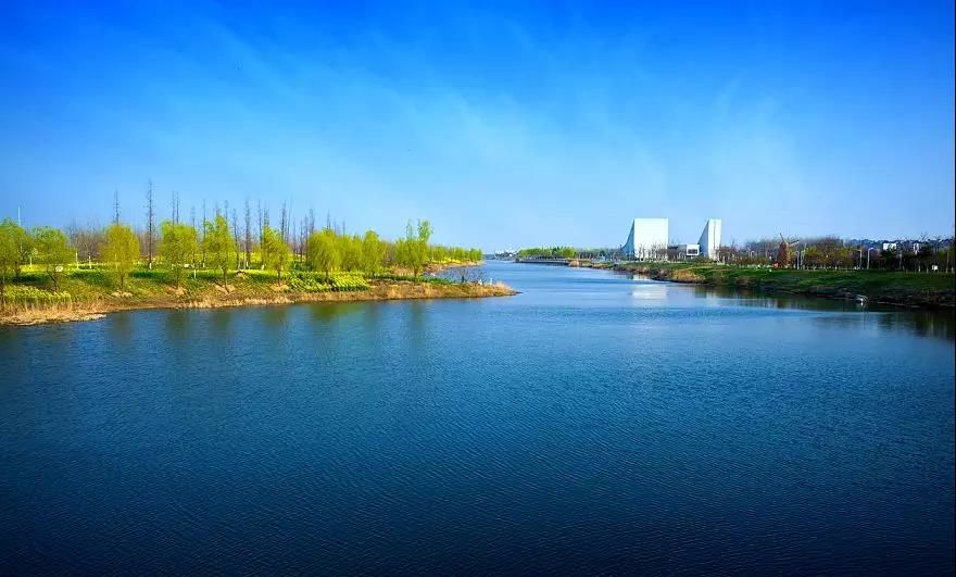 宿迁洋河的夏天是彩色的还有美丽的荷花吸引你的目光