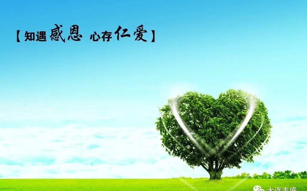 正文   主内亲爱的弟兄姊妹大家好!