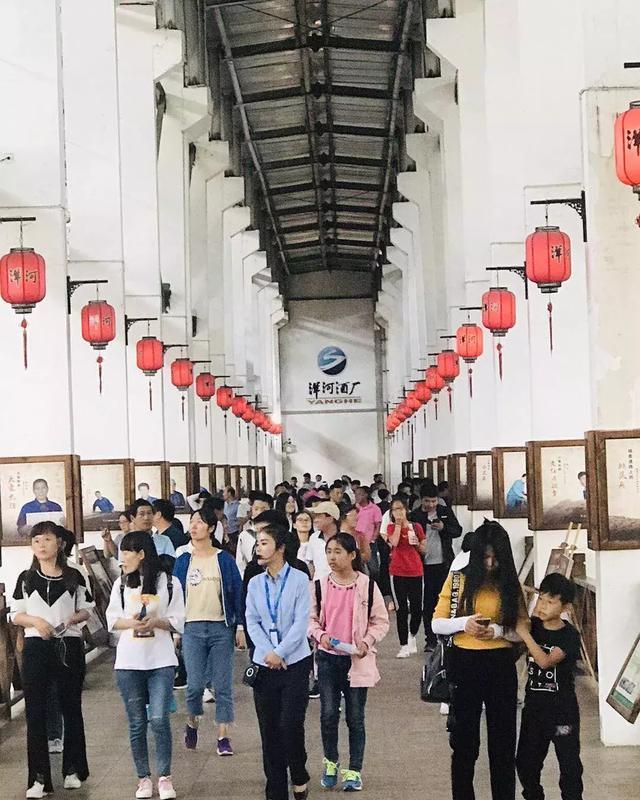 暑假,洋河、双沟文化旅游区成“网红打卡地”,游客增长超50%