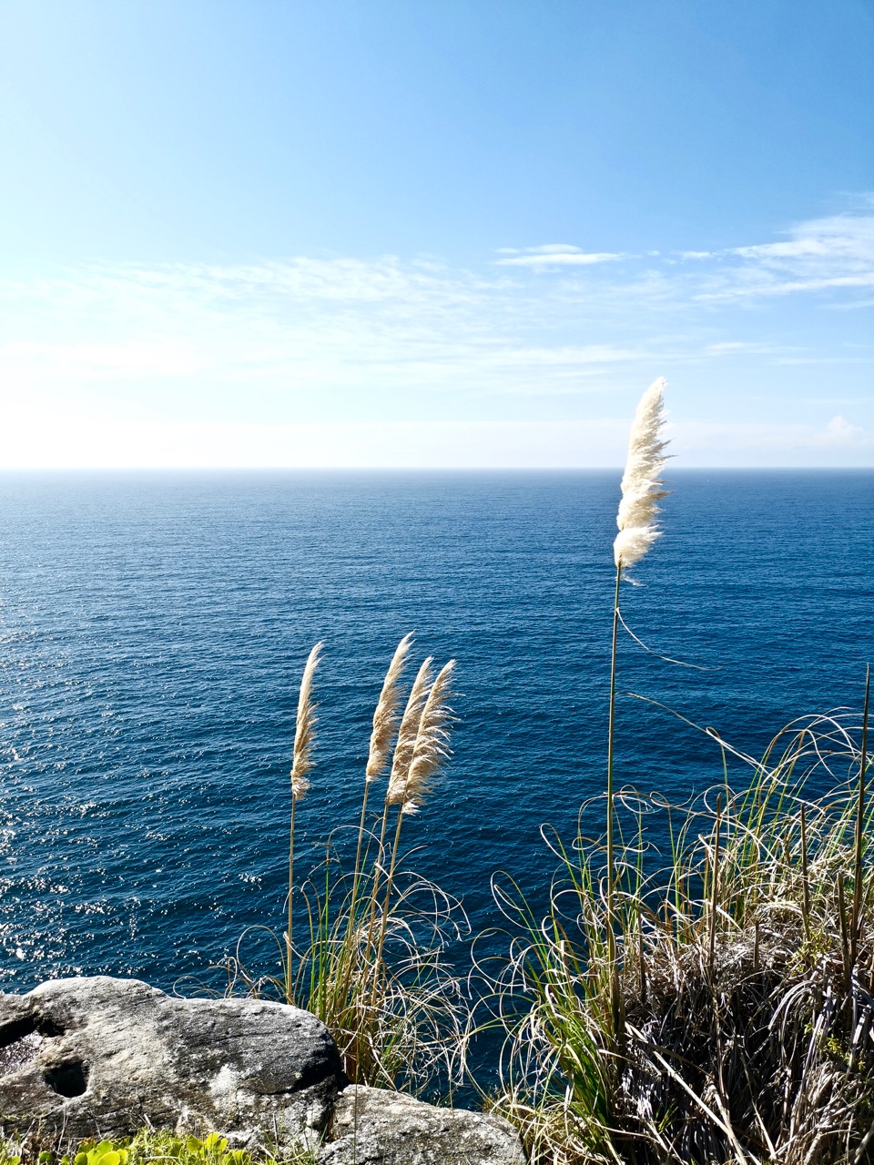悉尼东部的两座灯塔,面朝大海的浪漫之路