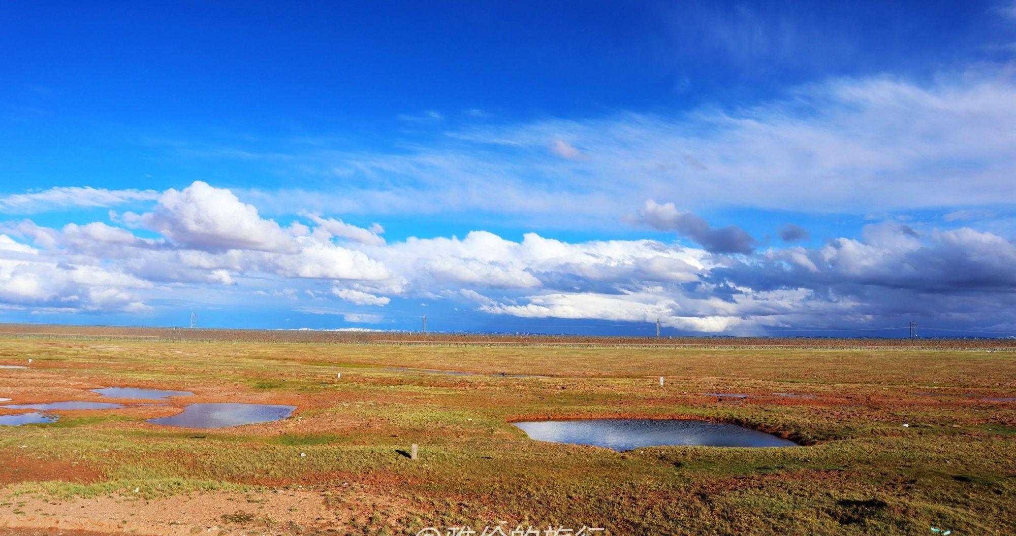 穿越青海可可西里无人区,海拔4千多米,藏羚羊突然出现太激动!