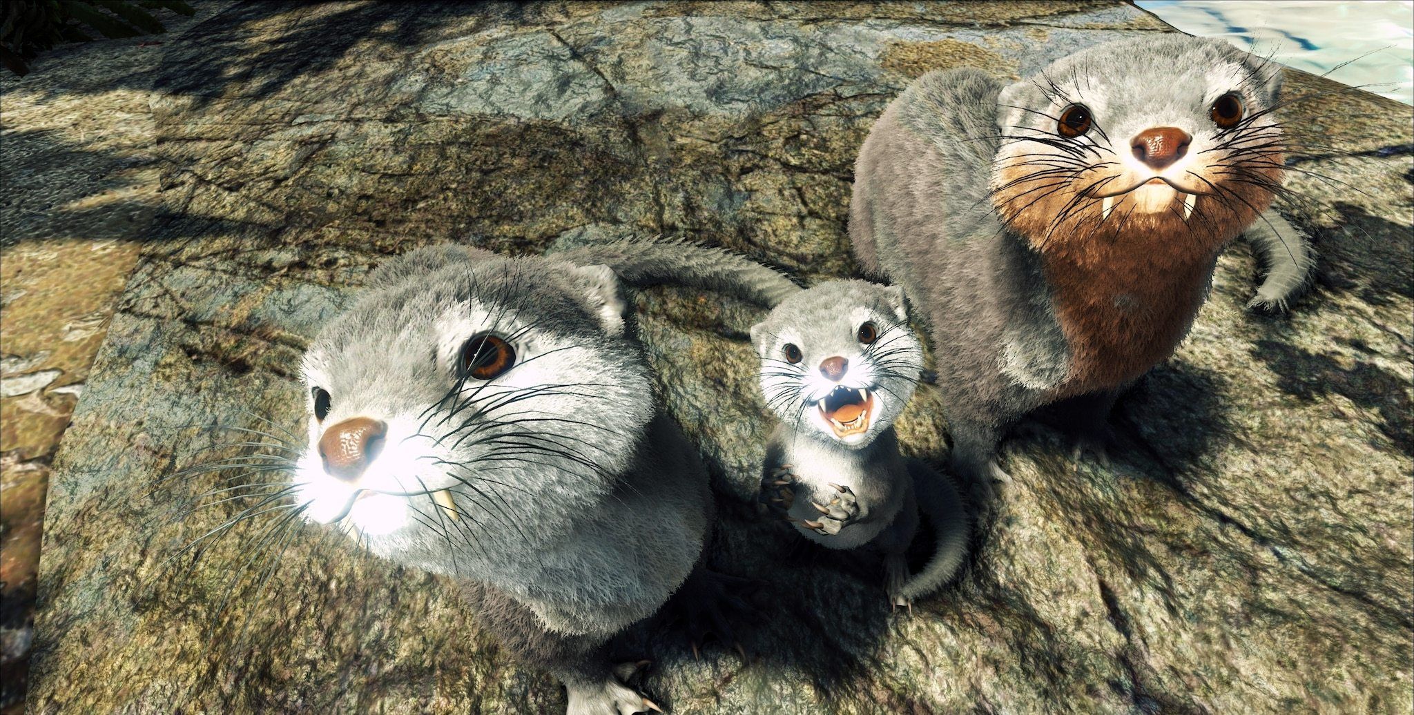 《方舟:生存进化》水獭萌照欣赏 萌你一脸血