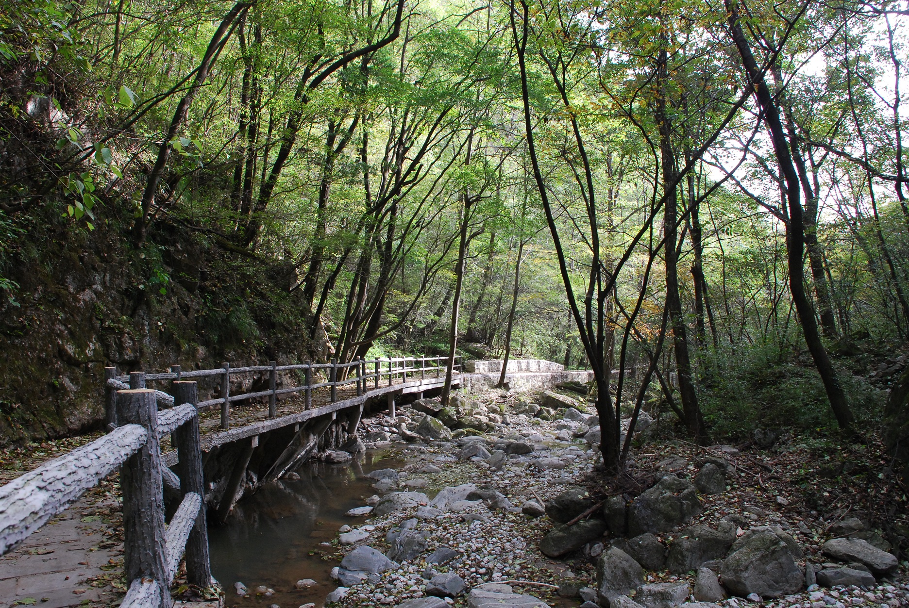 陕西这处森林公园有完整的生态系统,造就了中国少有的景观多样性