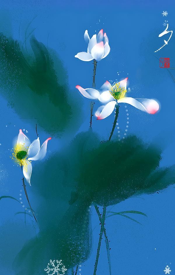 唯美古风壁纸 | 此花此叶常相映,翠减红衰愁杀人|荷花|西湖|杀人_新浪