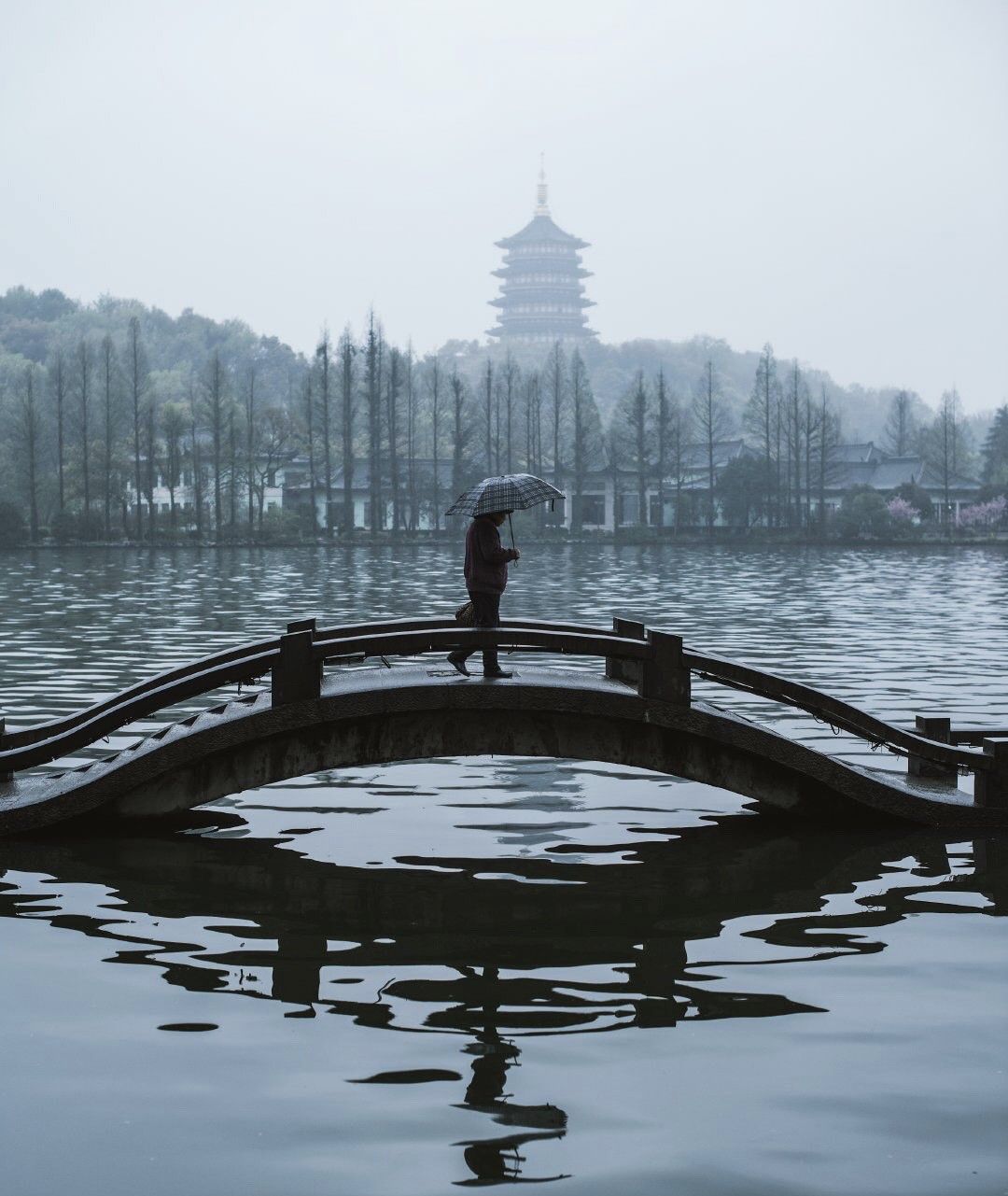 杭州之美,美图集锦,旅行随拍