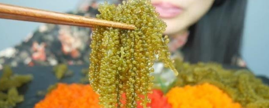 土豪姐直播吃海葡萄鱼子酱刚吃第一口就把网友逗得哭笑不得