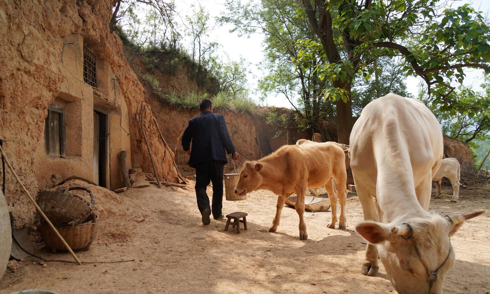 这个山区农村环境优美,但农民生活面临两难境地,看看啥情况