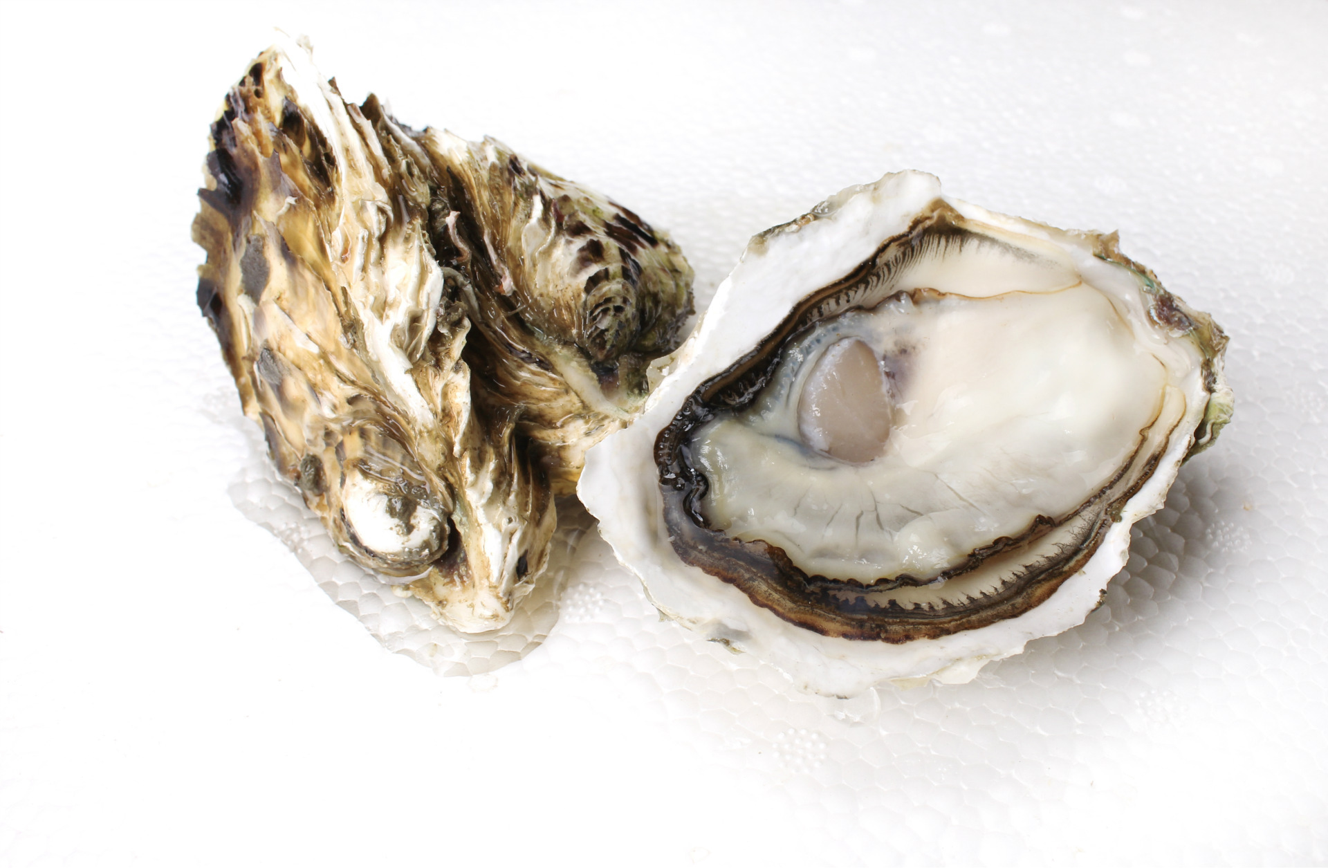 生蚝壮阳来一打生蚝真的有用吗