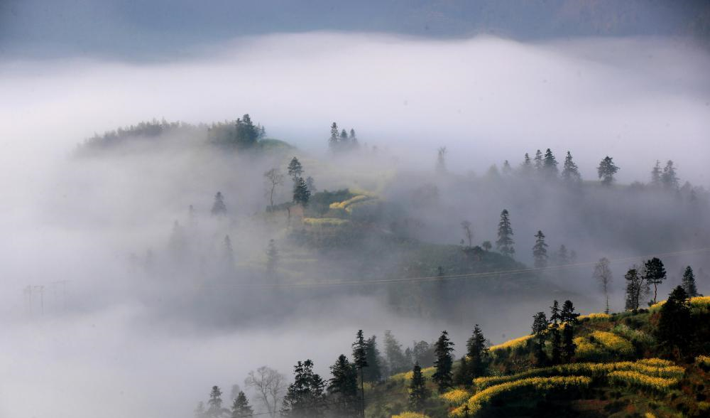 2019年4月6日早晨,安徽黄山脚下的歙县长陔岭雨后放晴,出现壮美的云海