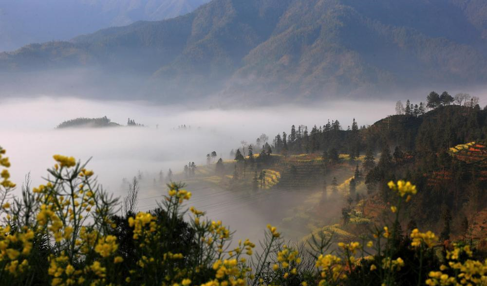 2019年4月6日早晨,安徽黄山脚下的歙县长陔岭雨后放晴,出现壮美的云海
